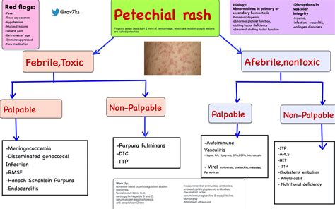 non blanching rash pathophysiology